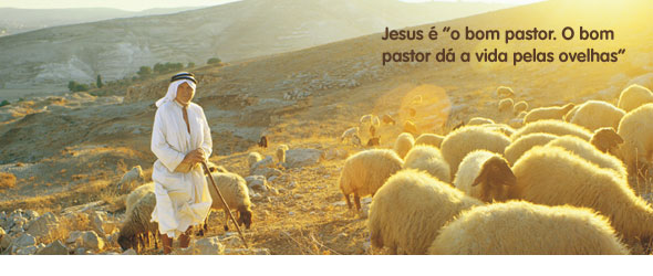 Jesus é “o bom pastor. O bom pastor dá a vida pelas ovelhas”